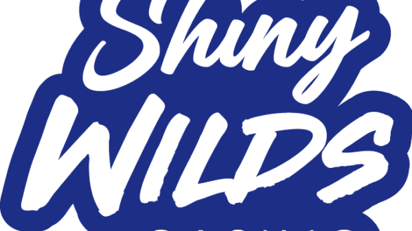 ShinyWilds Casino – Comprehensive Online Gaming with Crypto and Live Casino